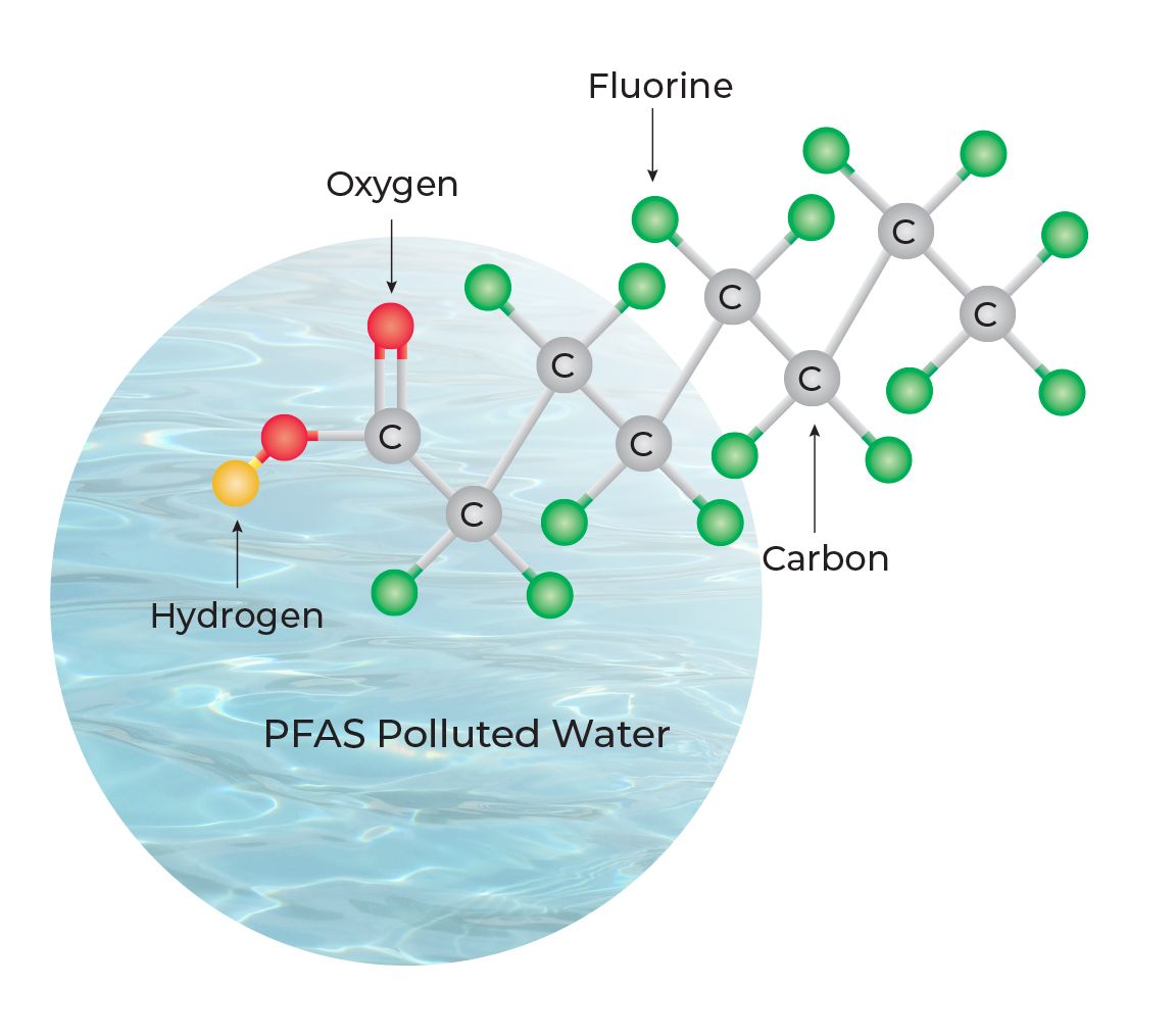 PFAS contamination explainer diagram